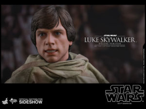 Luke Skywalker Sideshow Figure Close-Up