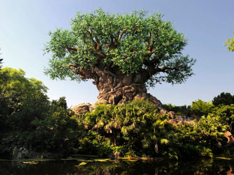 Disney Celebrates the 50th Earth Day The Pop Insider