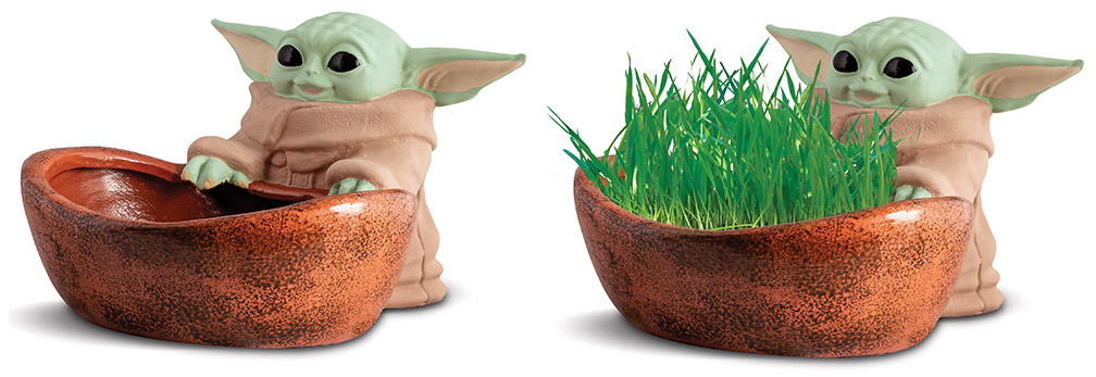Grogu Gets Hairy with New Chia Pets Exclusive to Star Wars Celebration -  The Pop Insider