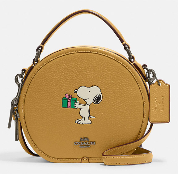 Coach Outlet Coach X Peanuts Signature Snoopy Hoodie in Green for