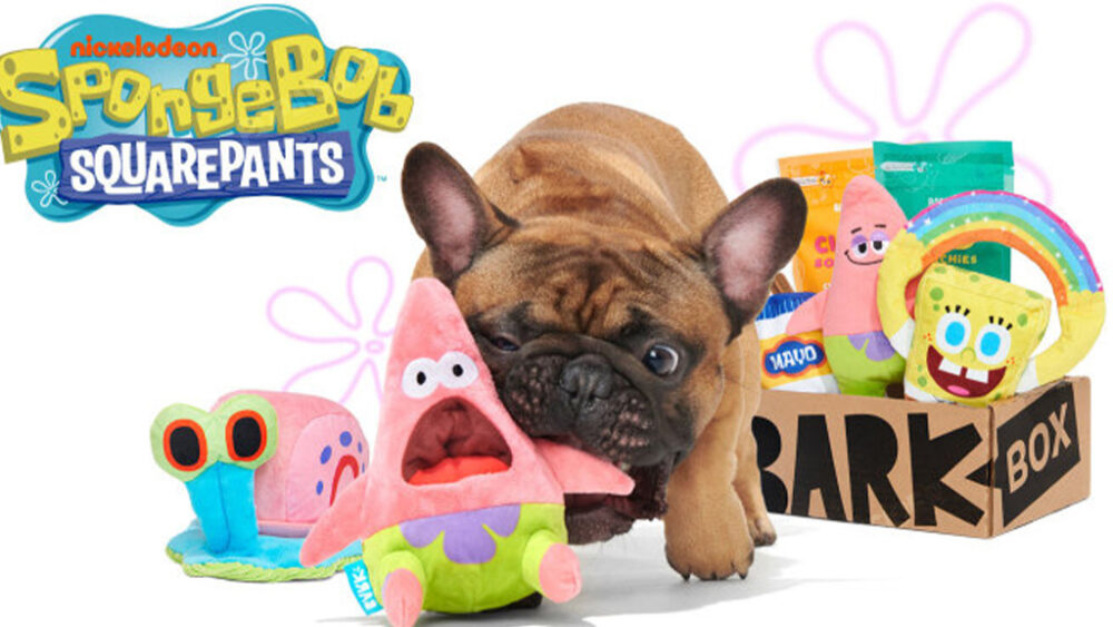 BarkBox Offering SpongeBob Toys as Part of their Subscription