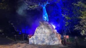 Harry Potter: A Forbidden Forest Experience