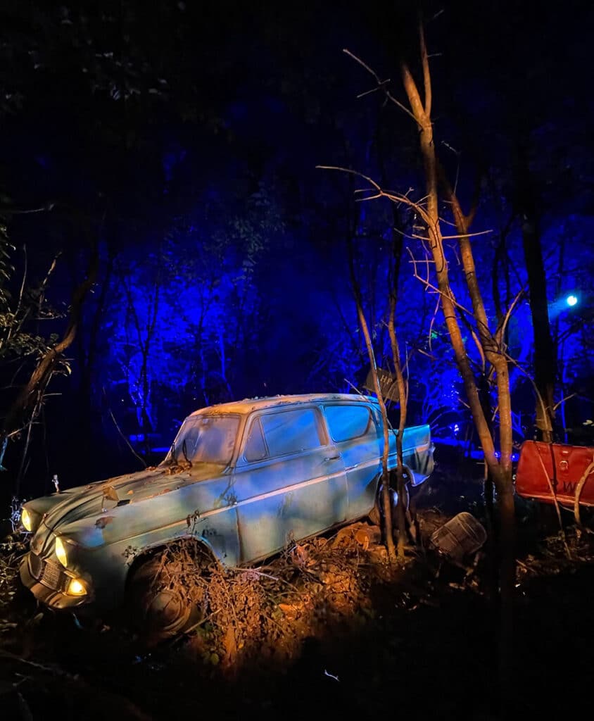 Harry Potter: A Forbidden Forest Experience