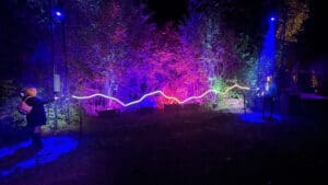 Harry Potter: A Forbidden Forest Experience